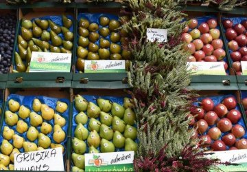 Ogłoszenie - wyjazd na AGROPROMOCJĘ