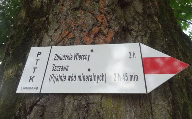 Zapraszamy na wędrówkę górską - Zbludzkie Wierchy