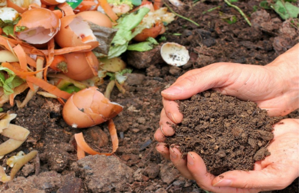 Ankieta – zagospodarowanie bioodpadów w przydomowych kompostownikach